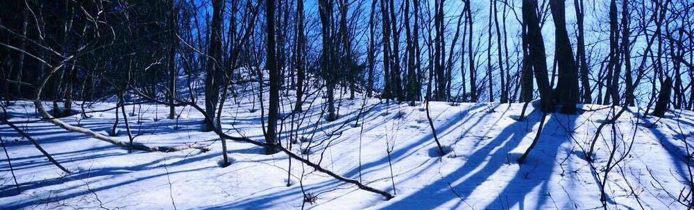 狩女の会 カバー