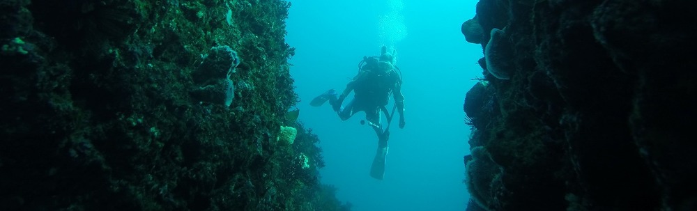 スキューバプロ真鶴 カバー