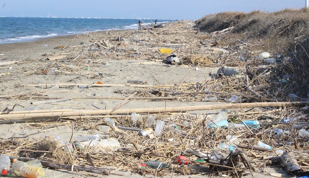 西の浜クリーンアップ活動～トヨタ紡織参加特別活動 アイキャッチ