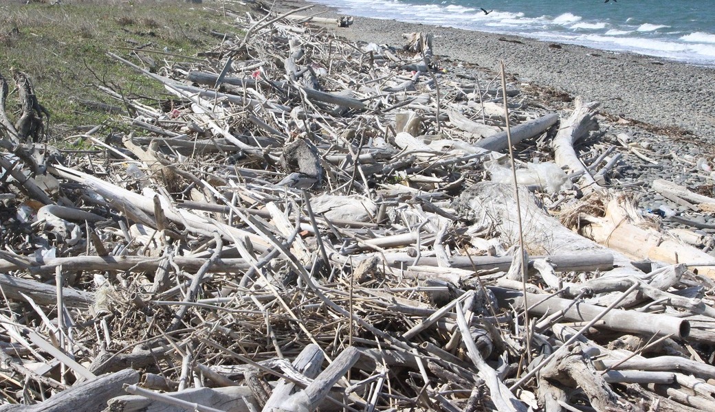 西の浜クリーンアップ活動 アイキャッチ