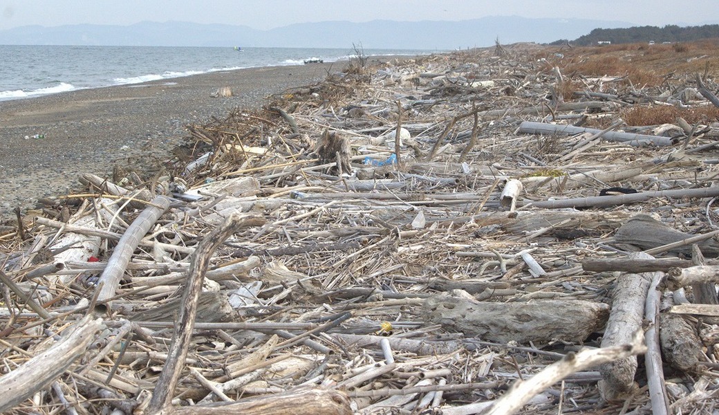 西の浜クリーンアップ活動 アイキャッチ
