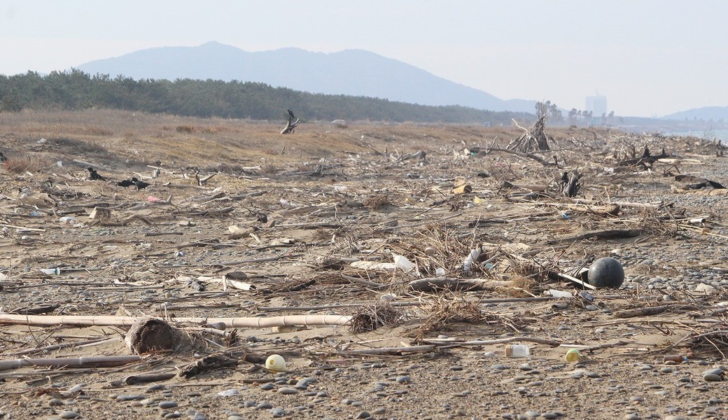 西の浜クリーンアップ活動 アイキャッチ
