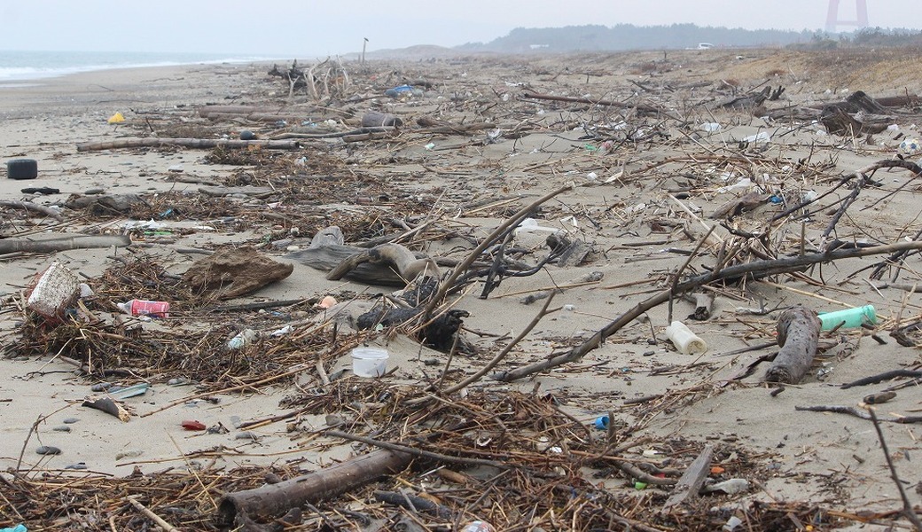 西の浜クリーンアップ活動　特別活動 アイキャッチ