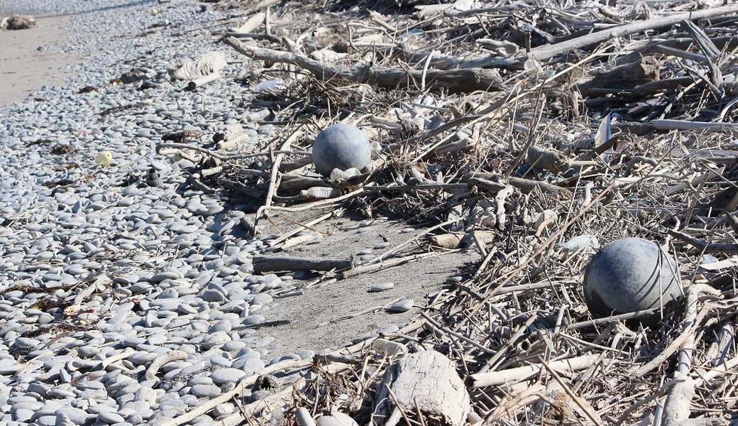 西の浜クリーンアップ活動 アイキャッチ