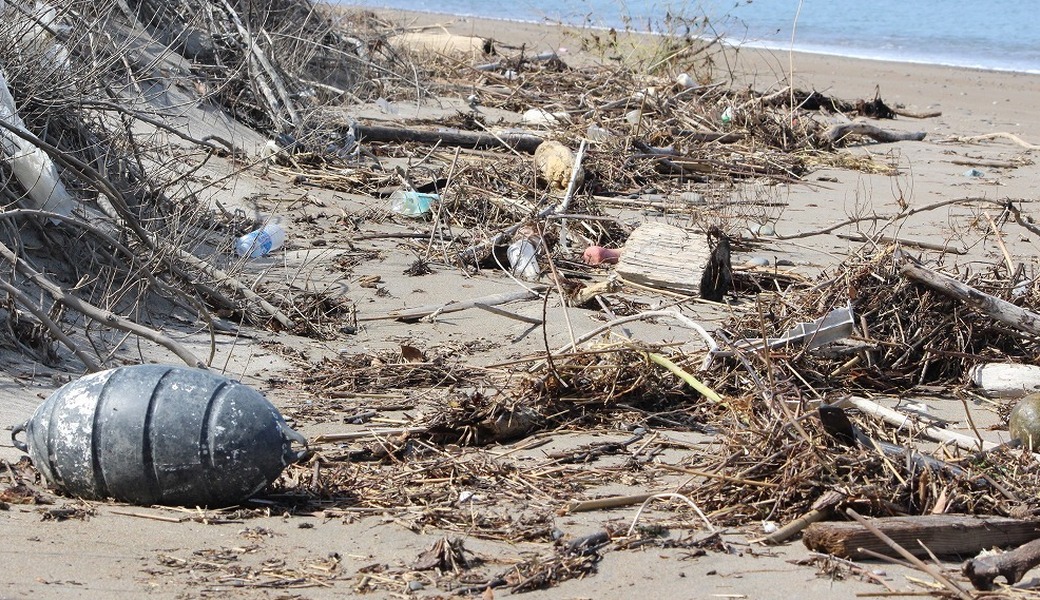 西の浜クリーンアップ活動　トヨタ紡織特別活動　 アイキャッチ