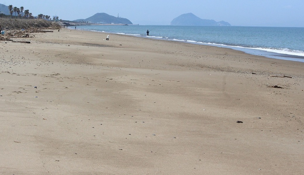 西の浜クリーンアップ活動　アラコ特別活動 アイキャッチ