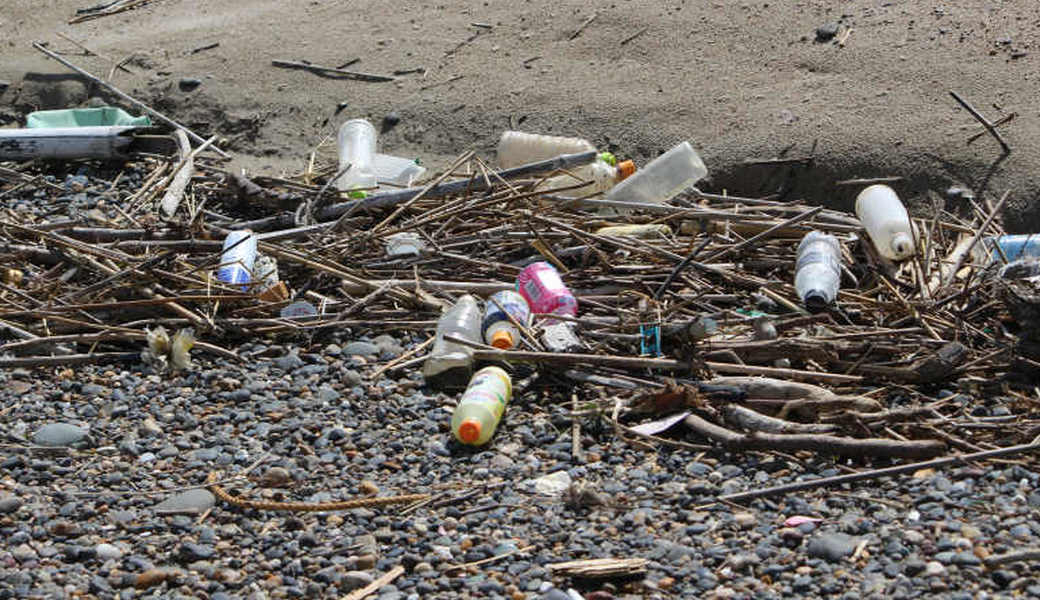 西の浜クリーンアップ活動 アイキャッチ