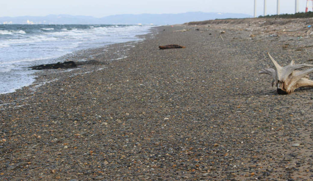 西の浜クリーンアップ活動 アイキャッチ