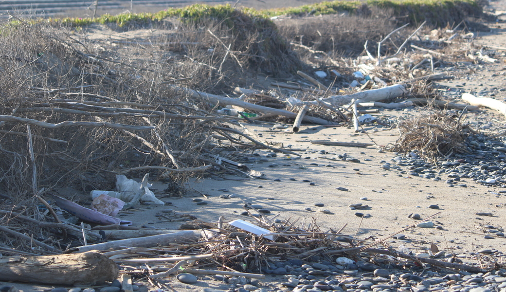 西の浜クリーンアップ活動 アイキャッチ