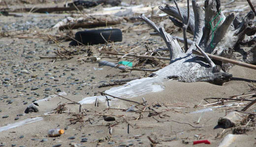 西の浜クリーンアップ活動 アイキャッチ
