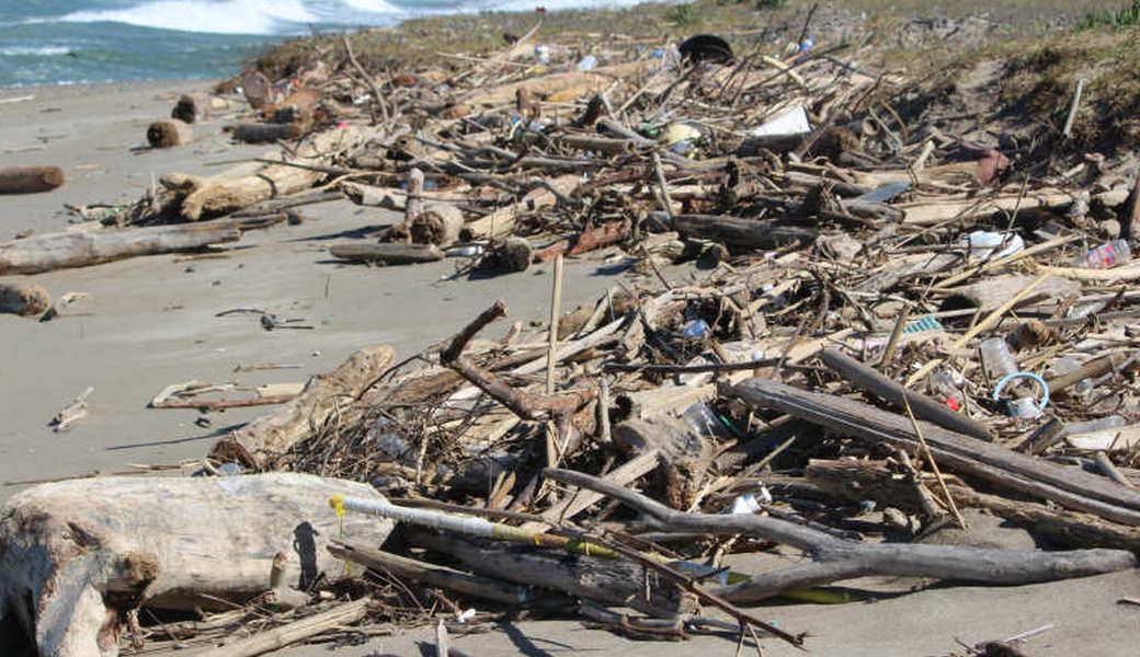 西の浜クリーンアップ活動 レポート