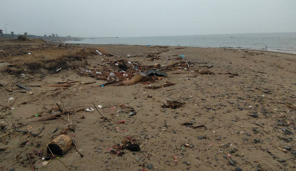 西の浜クリーンアップ活動 レポート