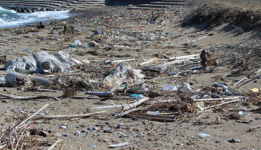 西の浜クリーンアップ活動 レポート