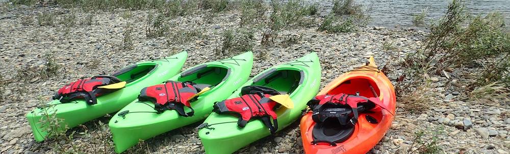 自然遊びクラブ カバー