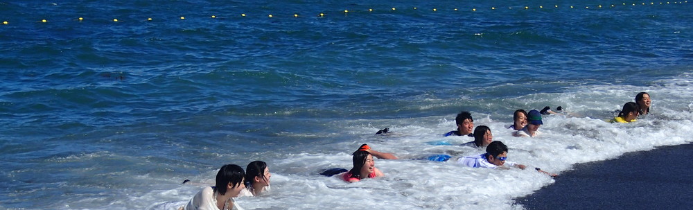 NPO法人 東京おもしろ野外学校 カバー