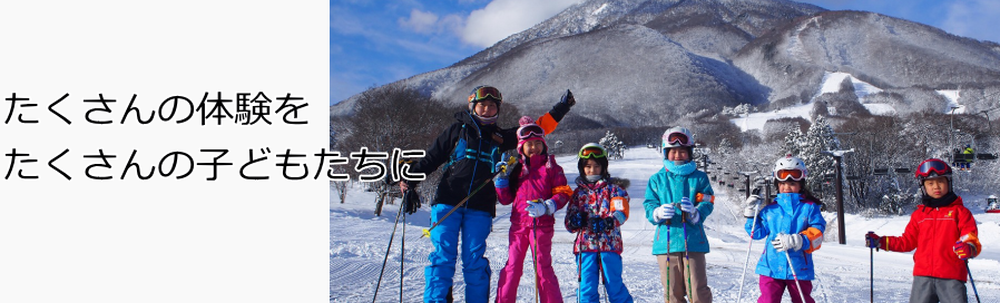 ドルフィンスポーツアカデミー カバー