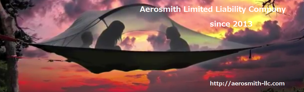 合同会社エアロスミス カバー