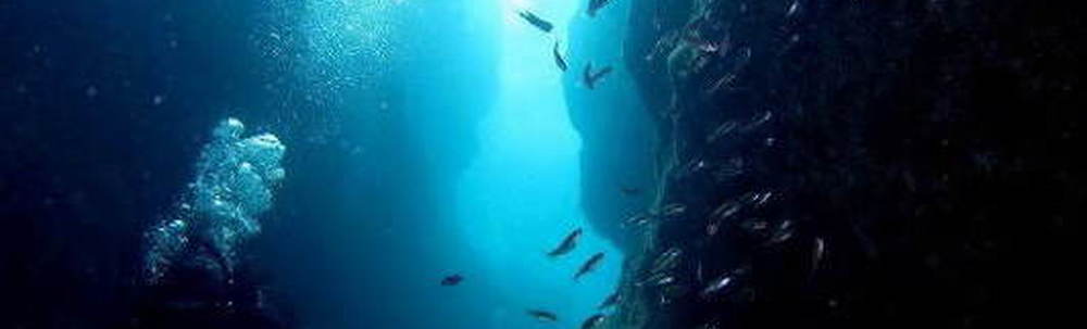 シーアゲイン カバー