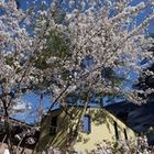 信州安曇野ハイキングビューロー プロフィール