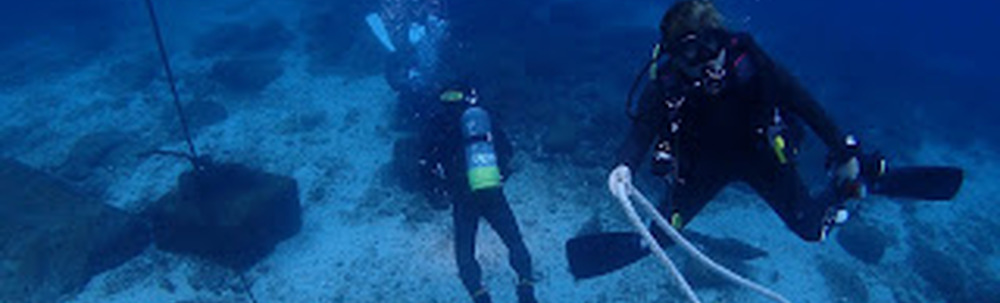 シーエアー柏島 カバー