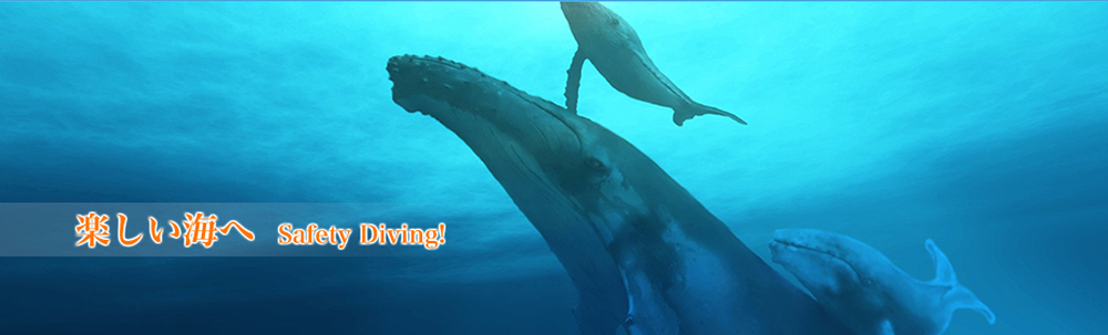 クジラダイビングサービス カバー