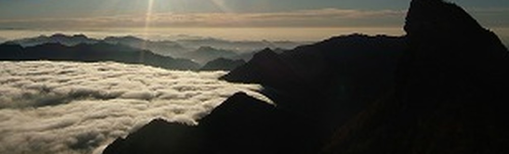 NPO法人石鎚森の学校 カバー