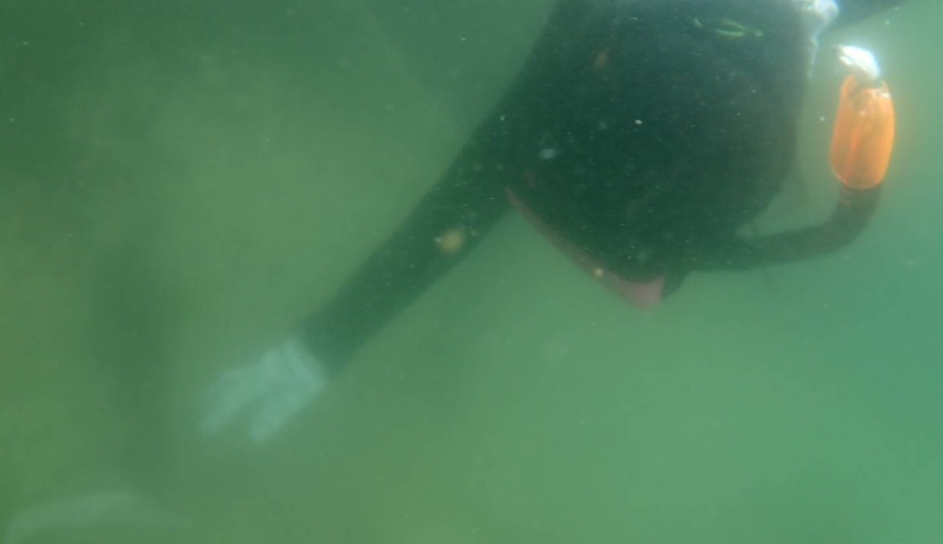 ひこっとらんどマリンビーチ　海岸・水中そうじ　しものせき美化美化（ぴかぴか）大作戦×BLUE SANTA 2025 アイキャッチ