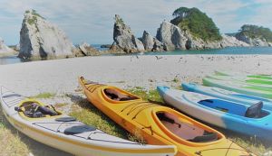 浄土ヶ浜ビーチクリーン アイキャッチ