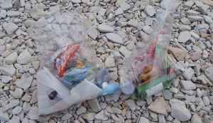 浄土ヶ浜ビーチクリーン アイキャッチ