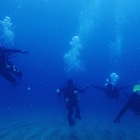 SEAMORE プロフィール