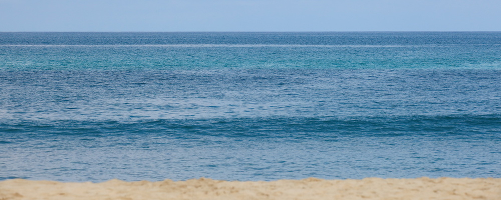 morningCleanup カバー