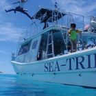 SEA-TRIP DIVING SERVICE 太造之店 プロフィール