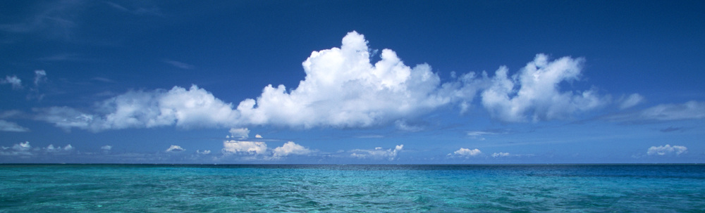 シーボーンアートおきなわ カバー