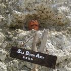 シーボーンアートおきなわ プロフィール