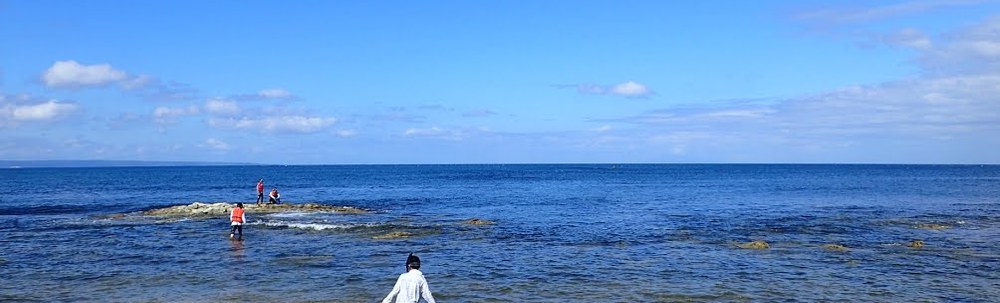 NPO法人ガイア自然学校とやま カバー