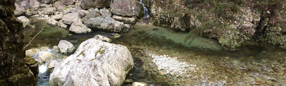 NPO法人三段峡ー太田川流域研究会 カバー