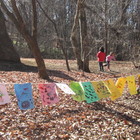 森と自然の楽校　きいわ プロフィール