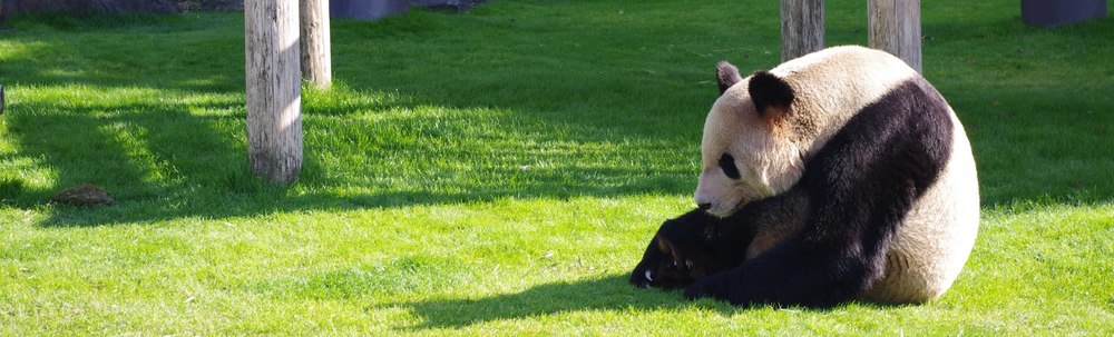 NPO法人ひょうごアウトドアプロジェクト カバー