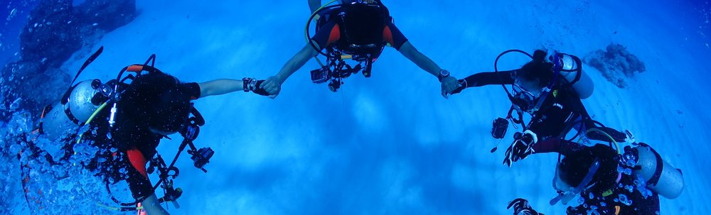 ドルフィンアイズ カバー