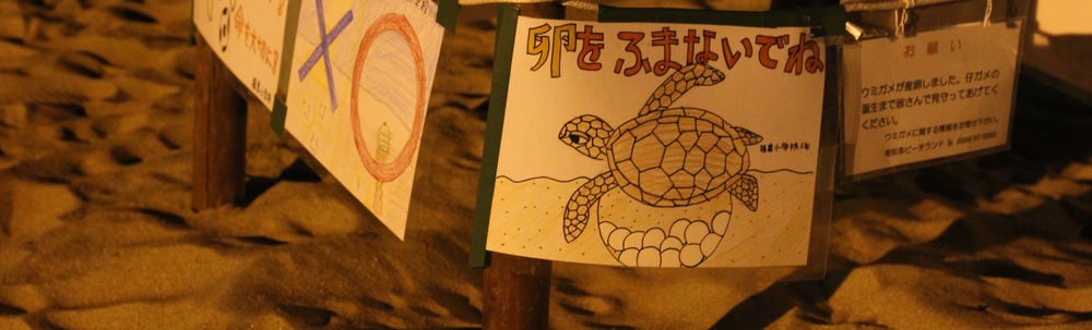 篠島ウミガメ隊 カバー