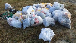 第４回 自治会一斉海岸清掃 アイキャッチ