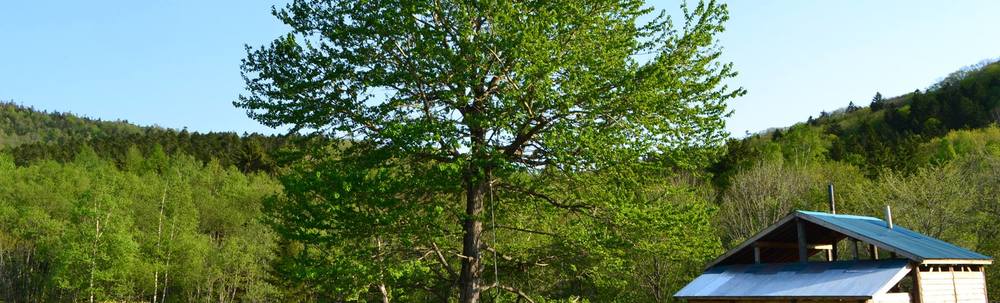 どんころ野外学校 カバー