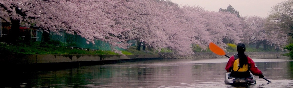 flip water　フリップウォーター カバー