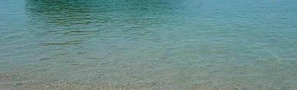 一般社団法人ひかり カバー