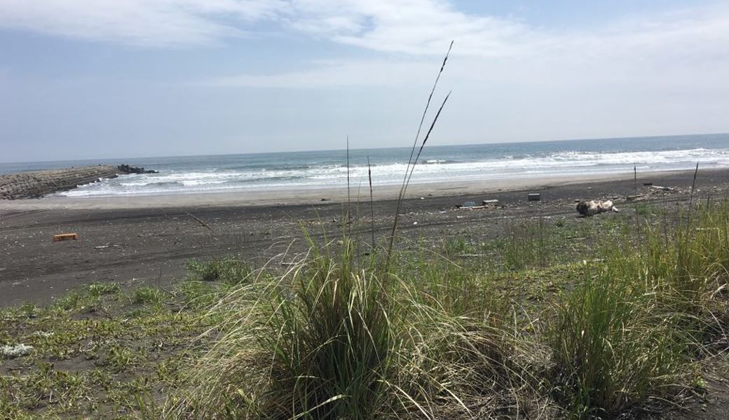 Beach CleanUp! アイキャッチ