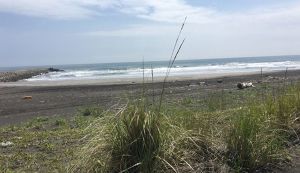 Beach CleanUp! アイキャッチ