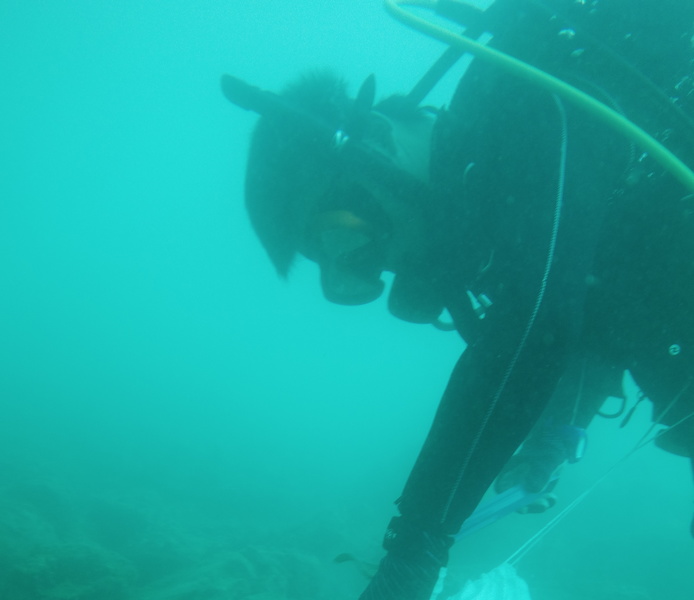 水中ゴミ拾い レポート