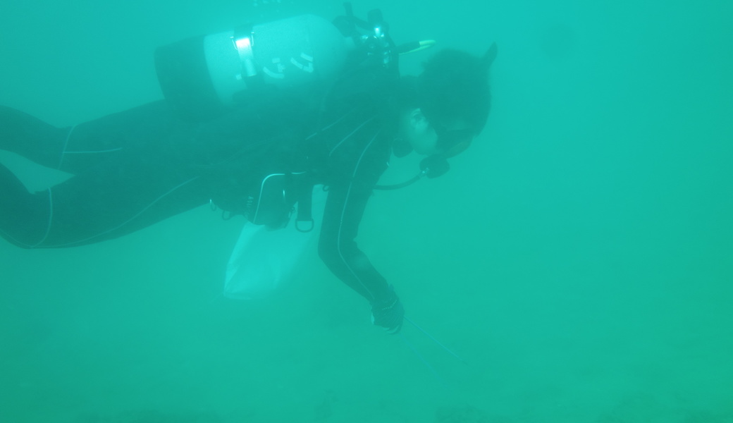 水中ゴミ拾い レポート