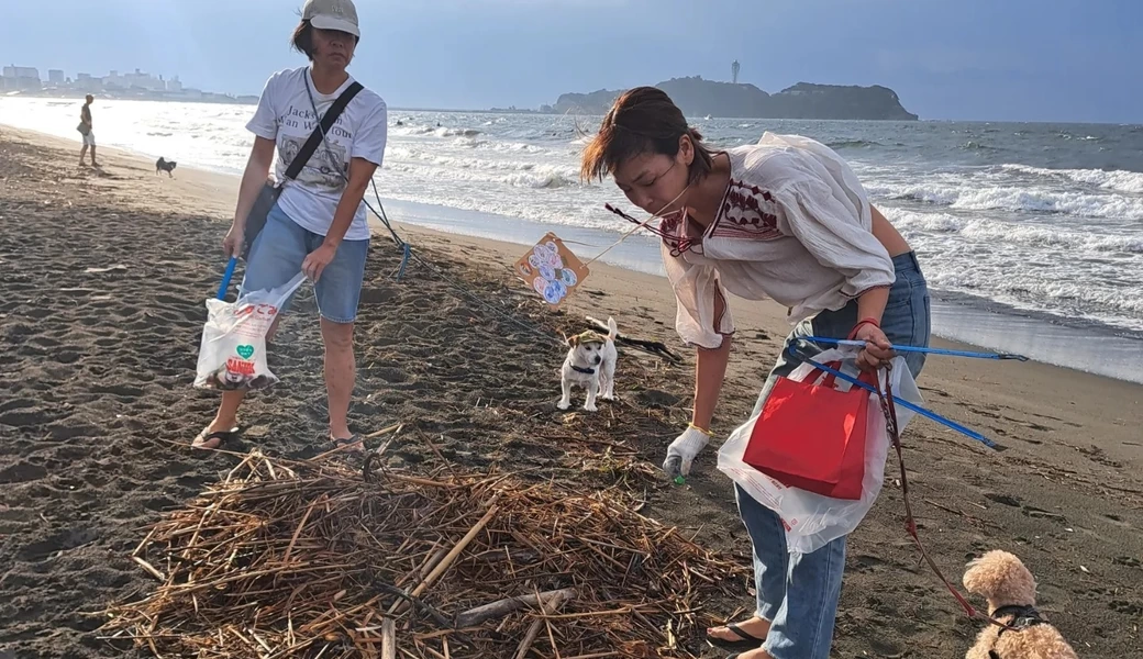 BEACH CLEAN for Beach Dogs アイキャッチ
