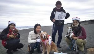 BEACH CLEAN for Beach Dog ... アイキャッチ